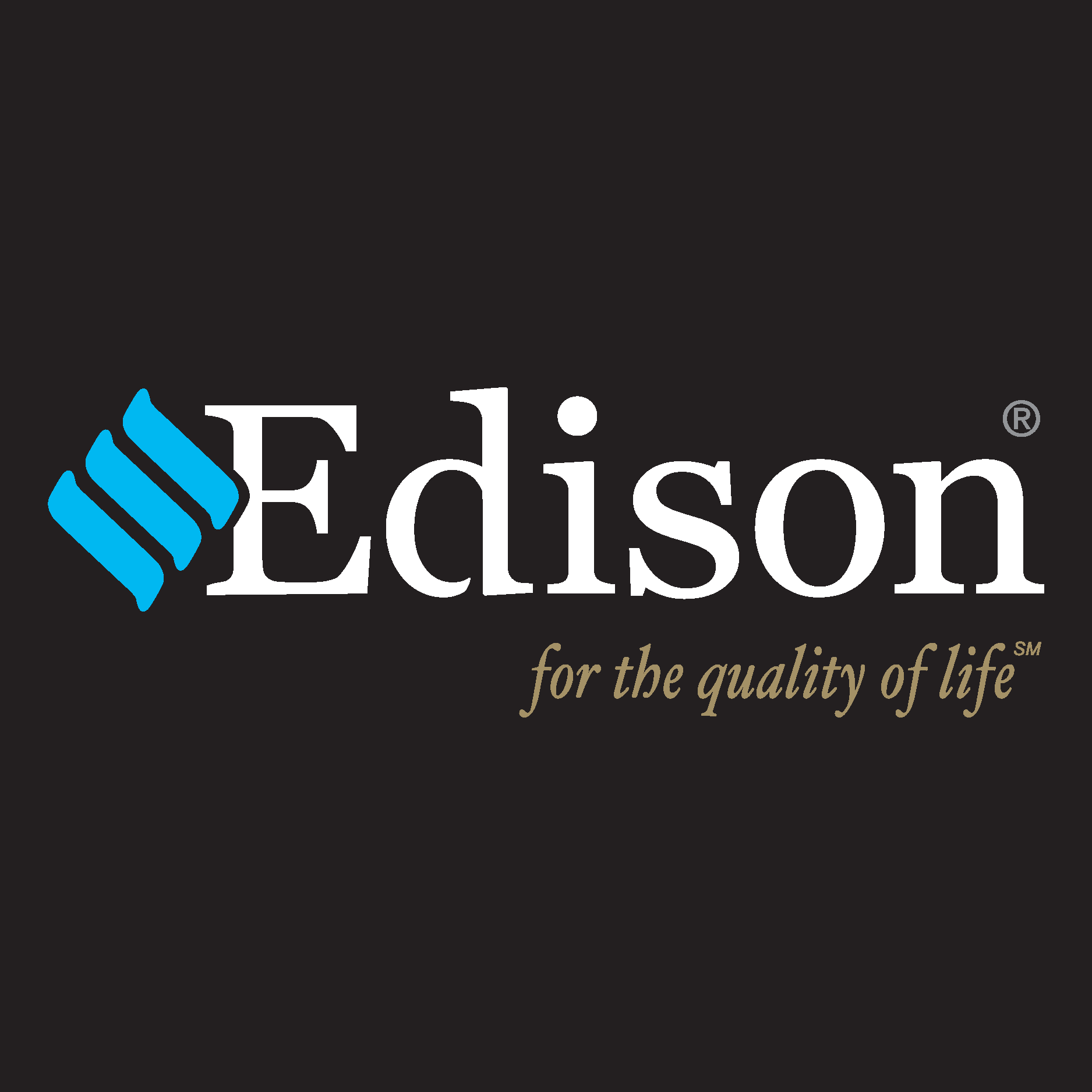Edison Electric Corp. Logo Vector Logo